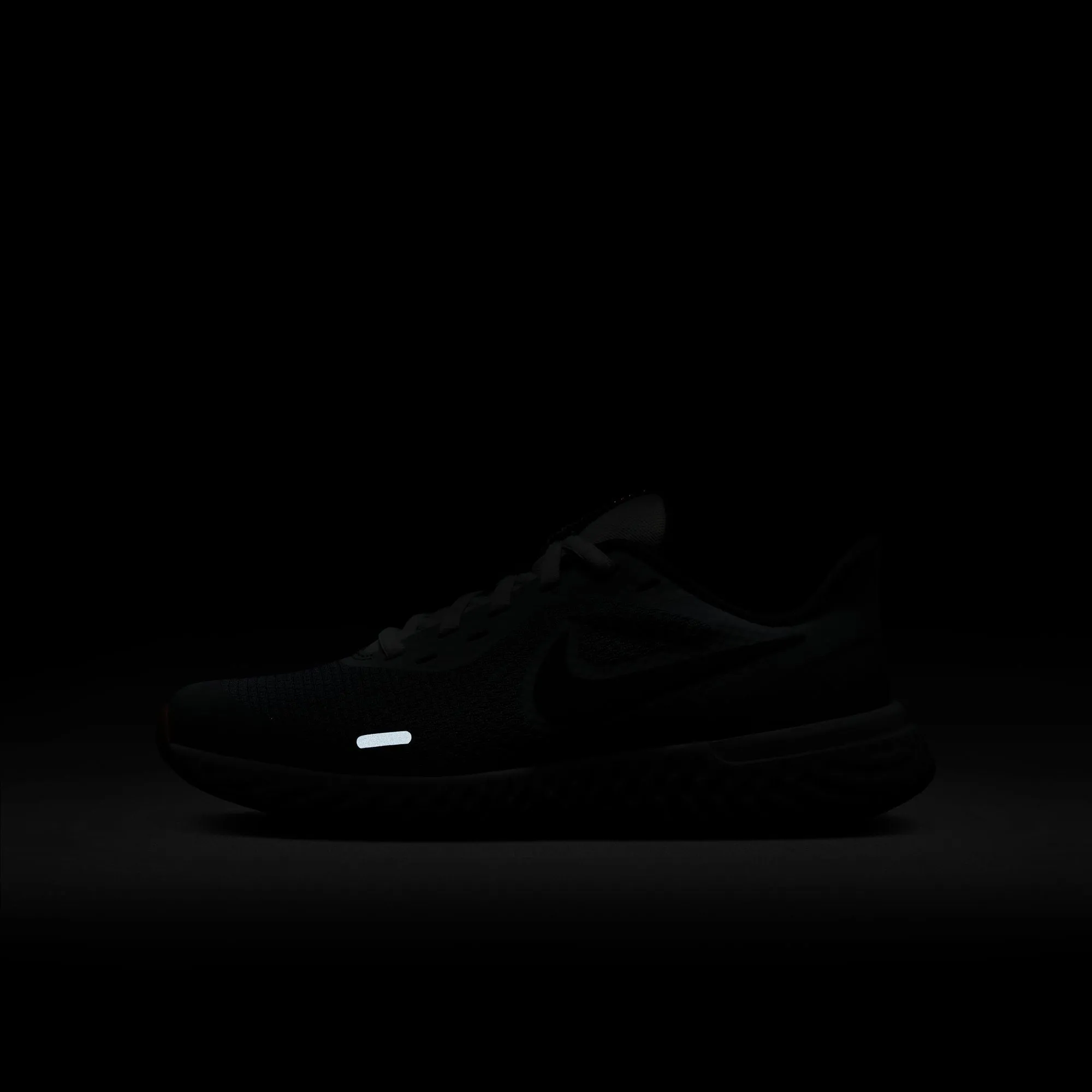 Nike Revolution 5